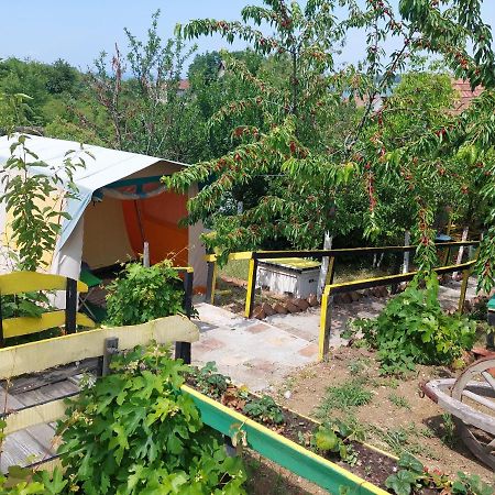 Angelinin Konak Negotin Exteriér fotografie